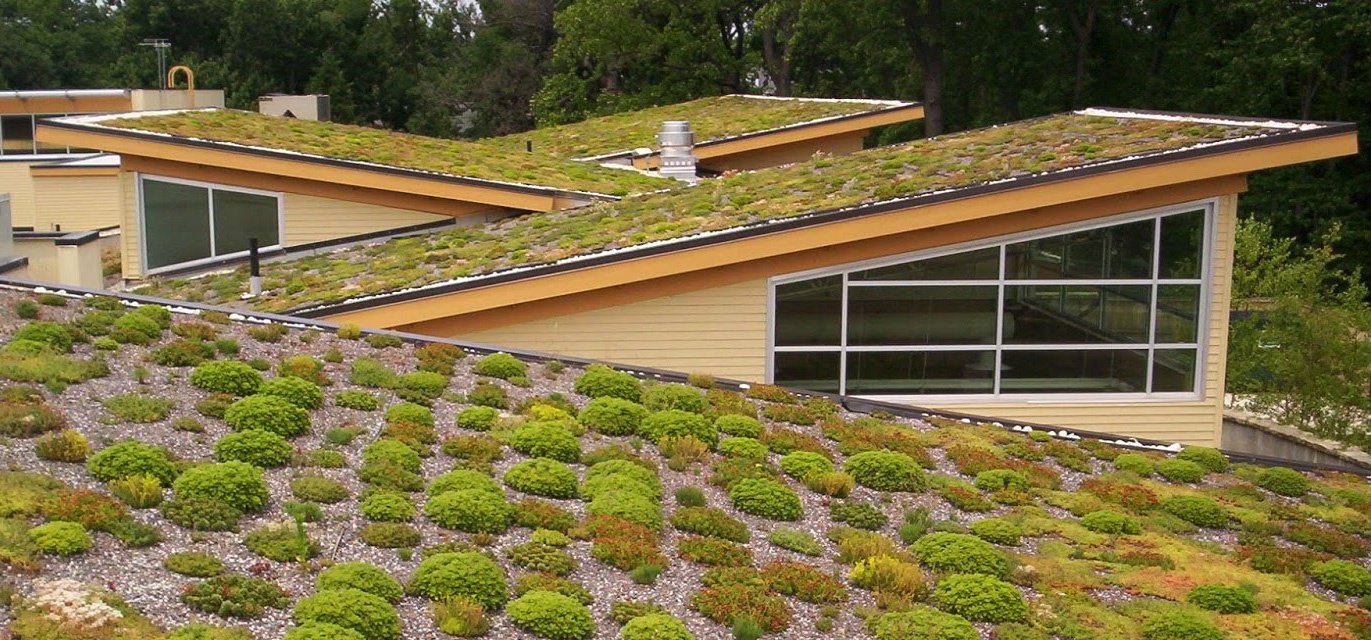 GreenRoof Haven: Eco-Friendly Living