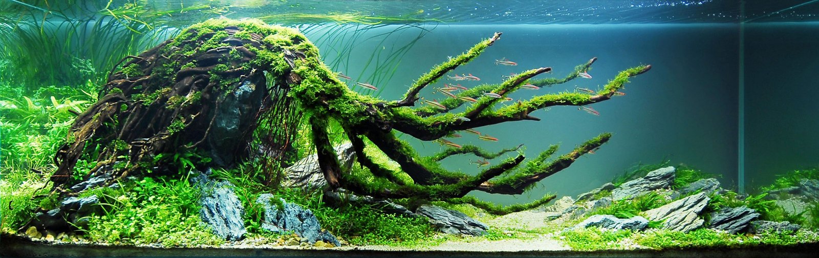 AquaScape Living: Water-Smart Haven