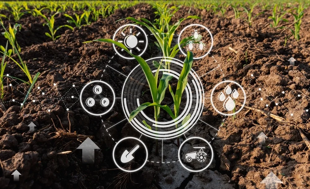 Biotechnology in Agriculture: Revolutionizing Farming for a Sustainable Future